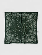 Lescarf Cashmere Paisley scarf 65x65, green