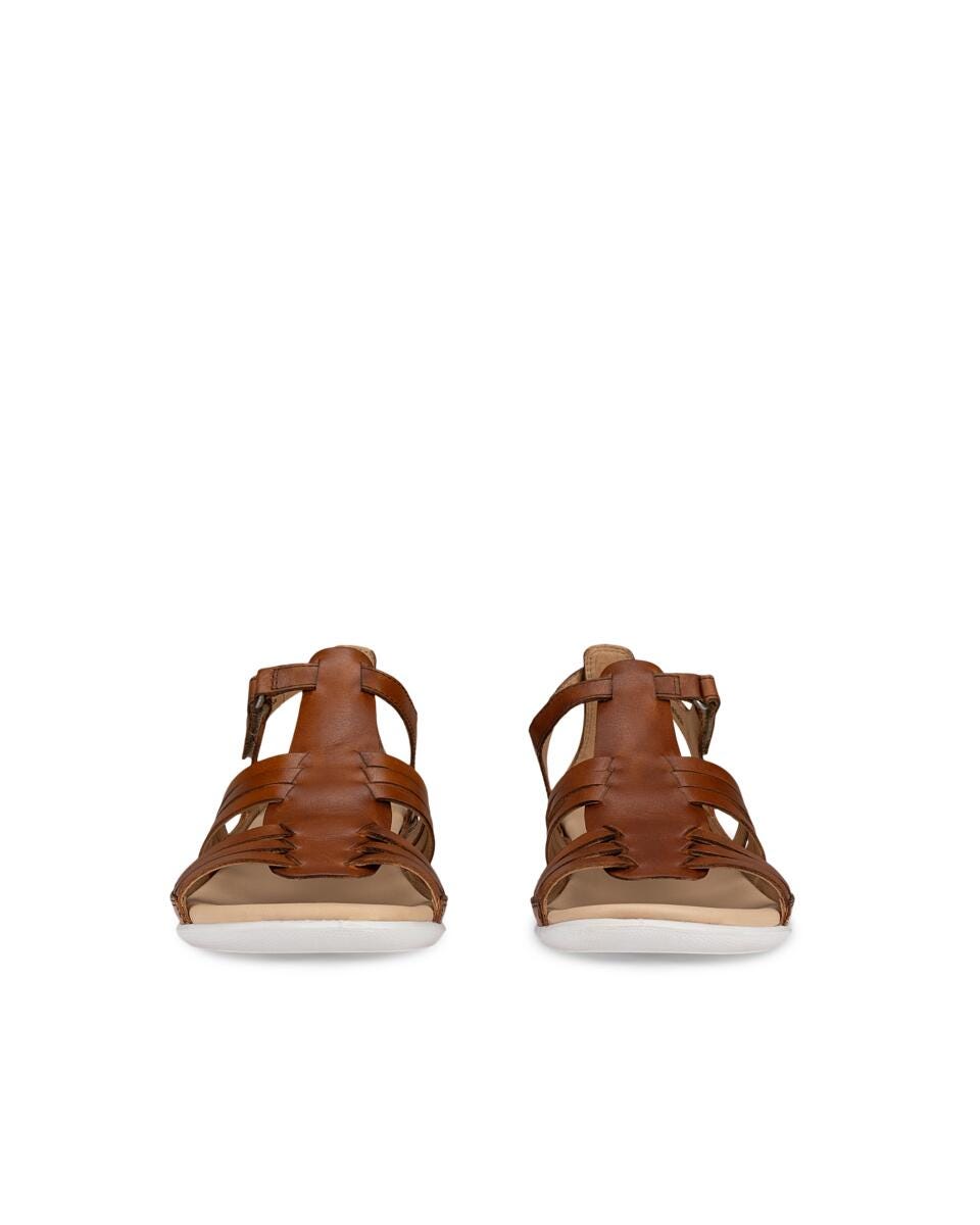 ECCO Flash,  saddle