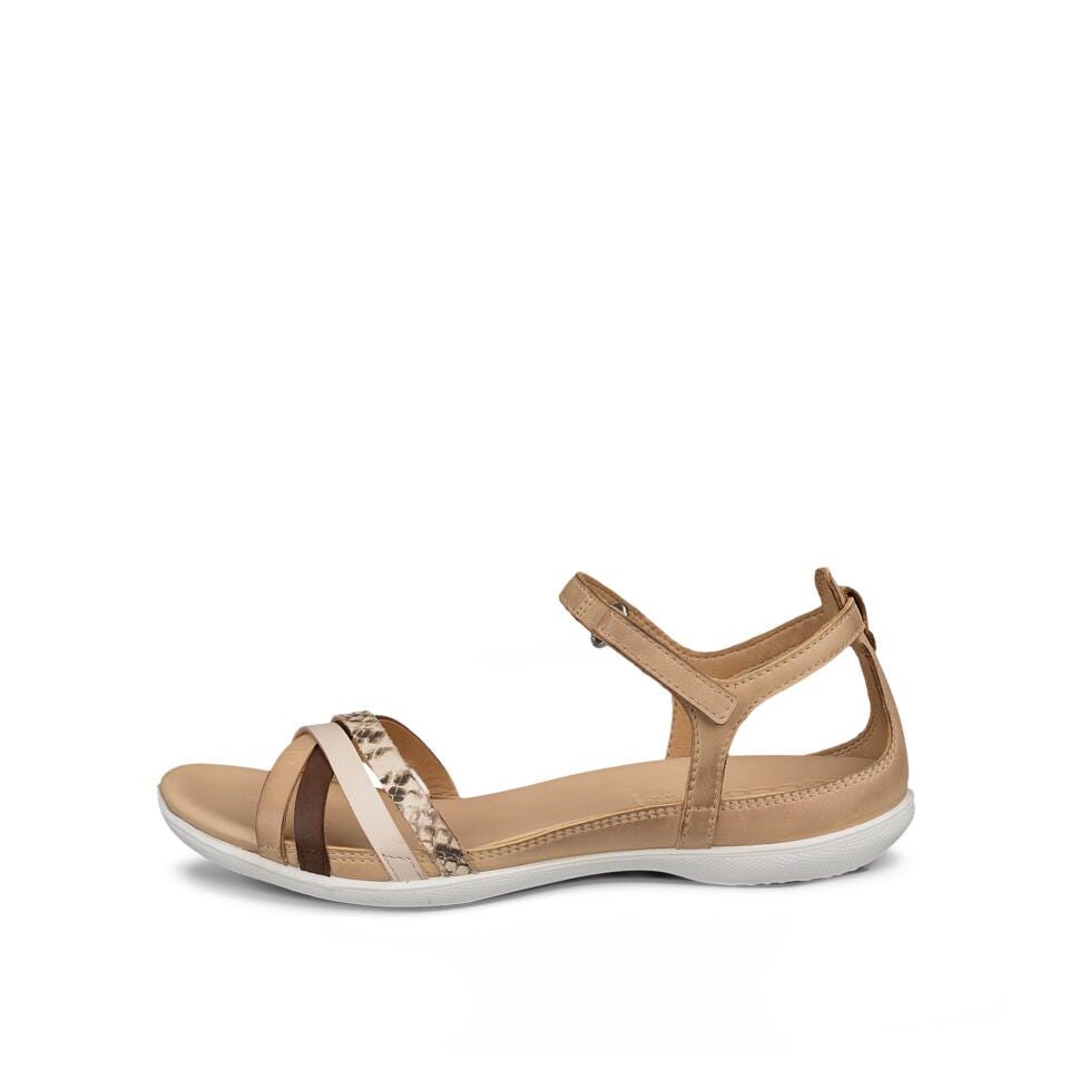 ECCO Flash, Powder
