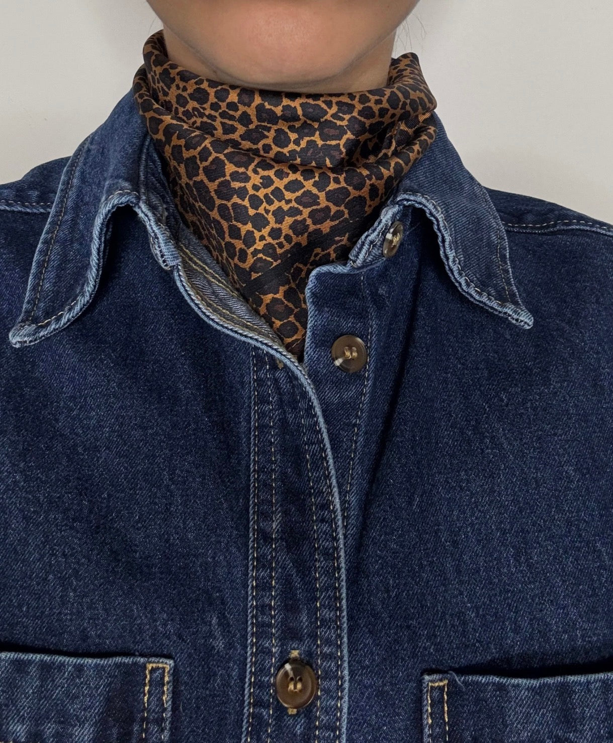 Lescarf Leo, brown 50x50