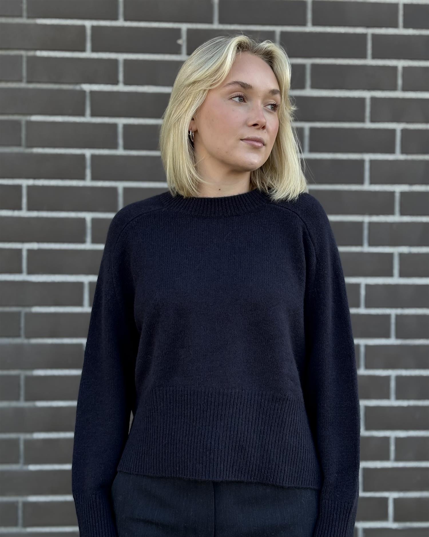 Notshy Xenia, marine