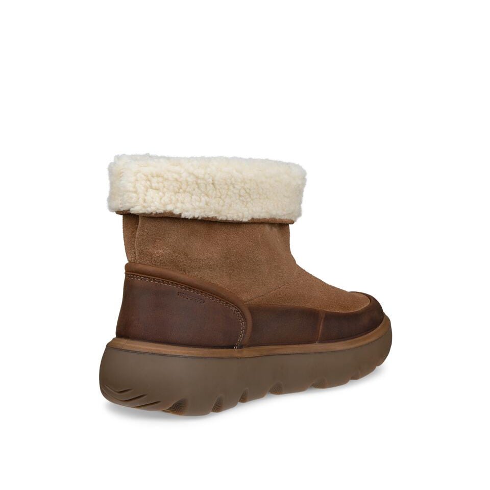ECCO Glacia WP camel