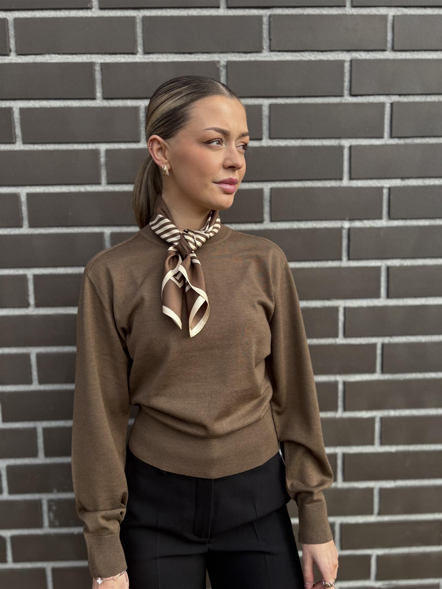 Julie Josephine Hanne Sweater, Brun