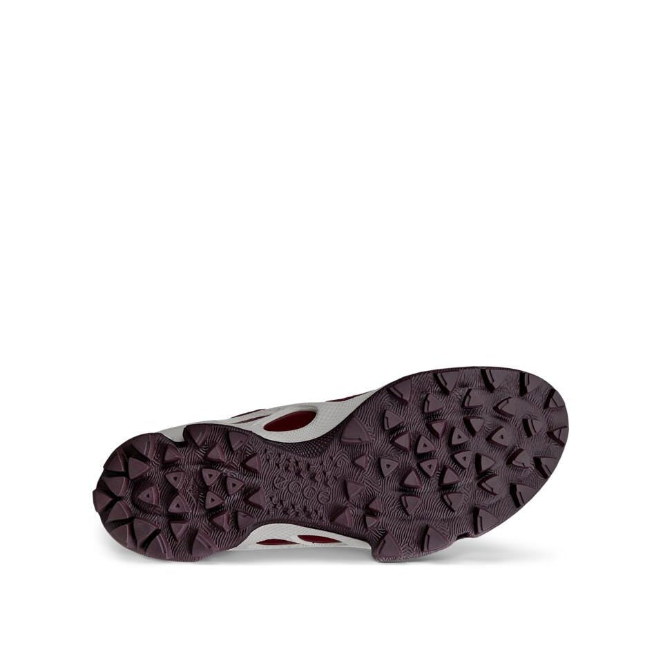 ECCO Biom C-Trail D GORE-TEX, Dark Ruby