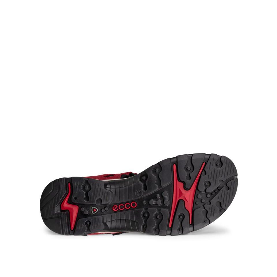 ECCO Offroad D, Brick