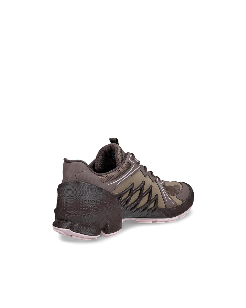 ECCO Biom Aex Gore-Tex D, Marron