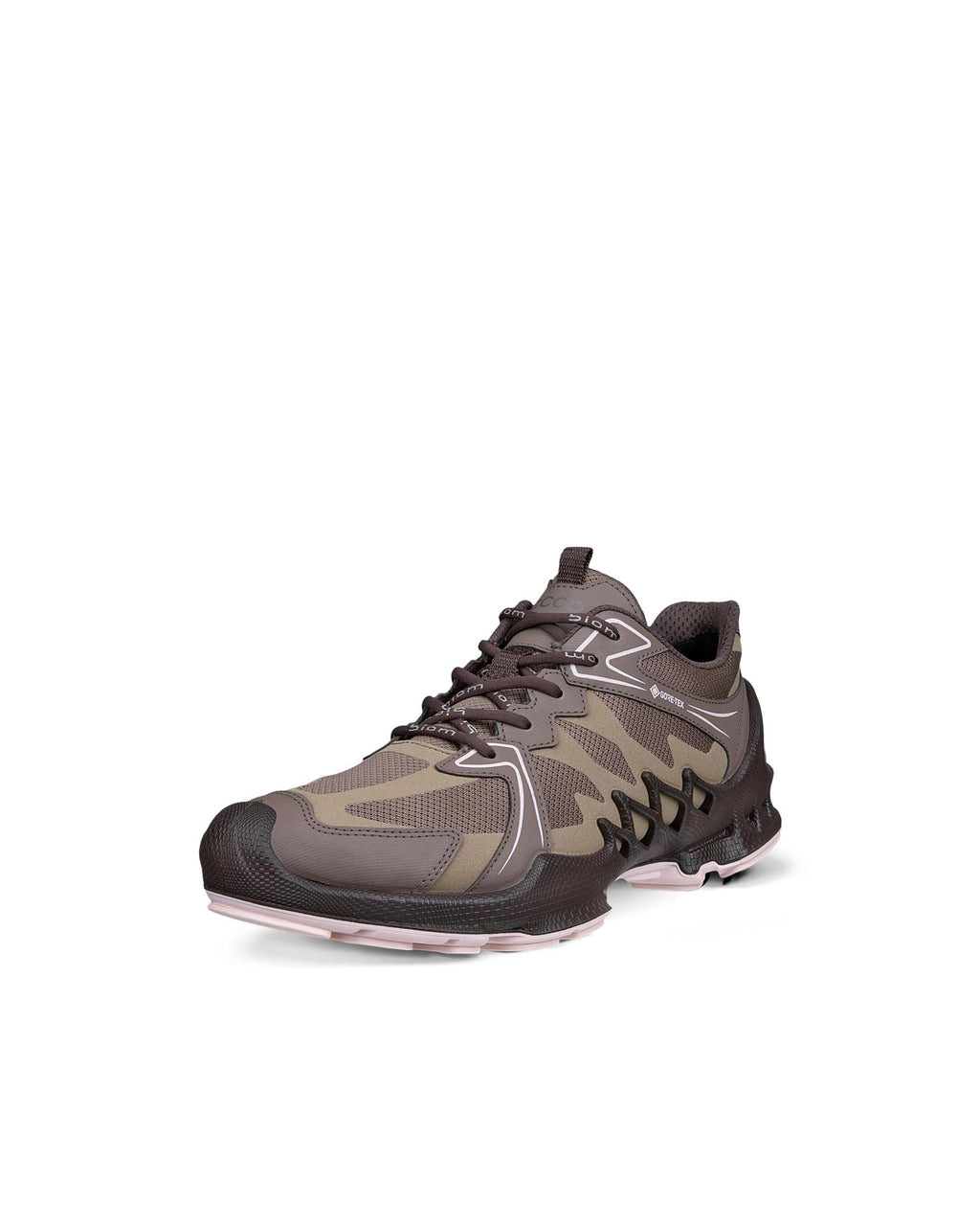 ECCO Biom Aex Gore-Tex D, Marron