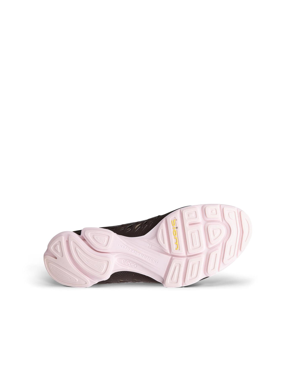 ECCO Biom Aex Gore-Tex D, Marron