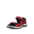 ECCO Offroad D, Brick