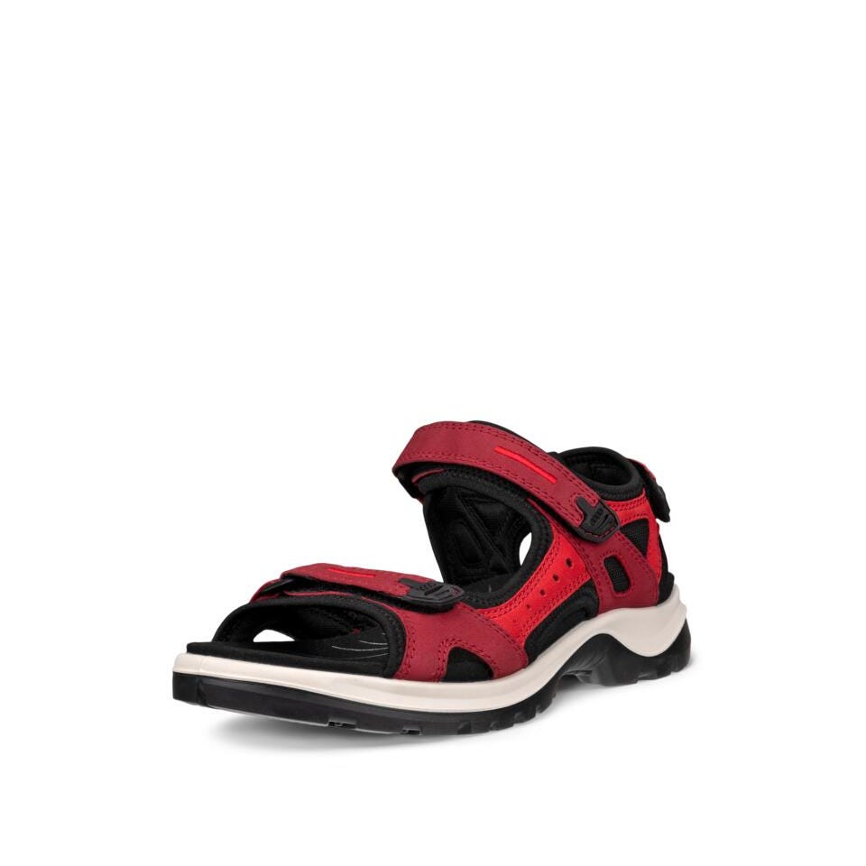 ECCO Offroad D, Brick