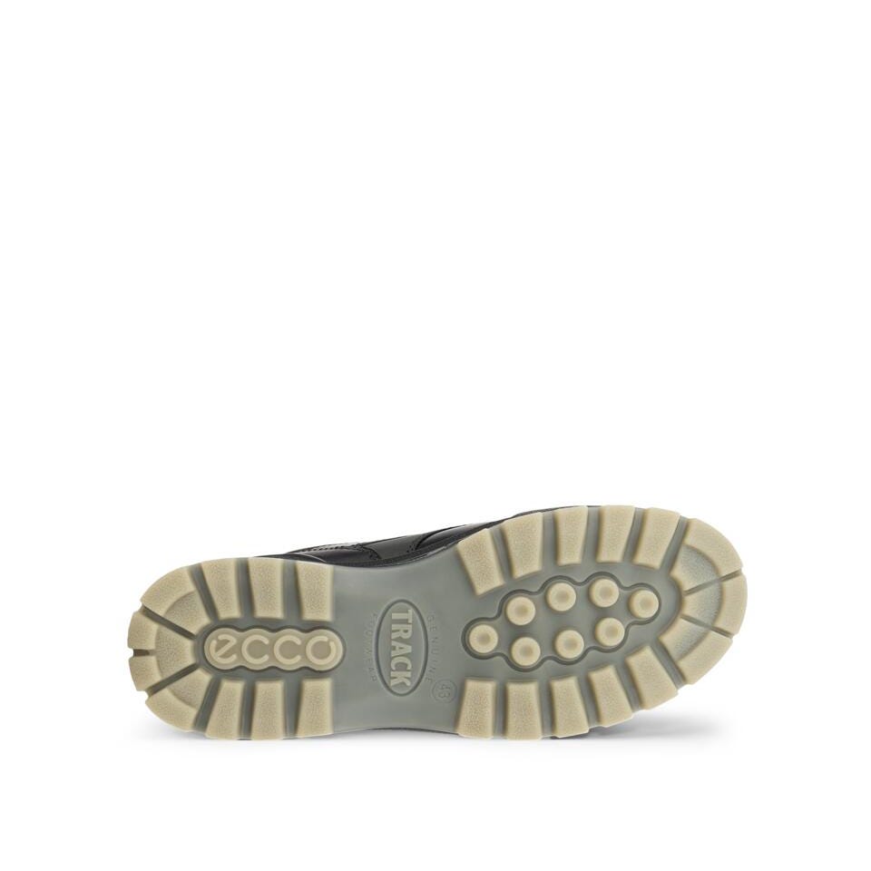 ECCO Track 25 H GORE-TEX®, Sort