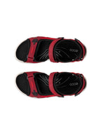ECCO Offroad D, Brick