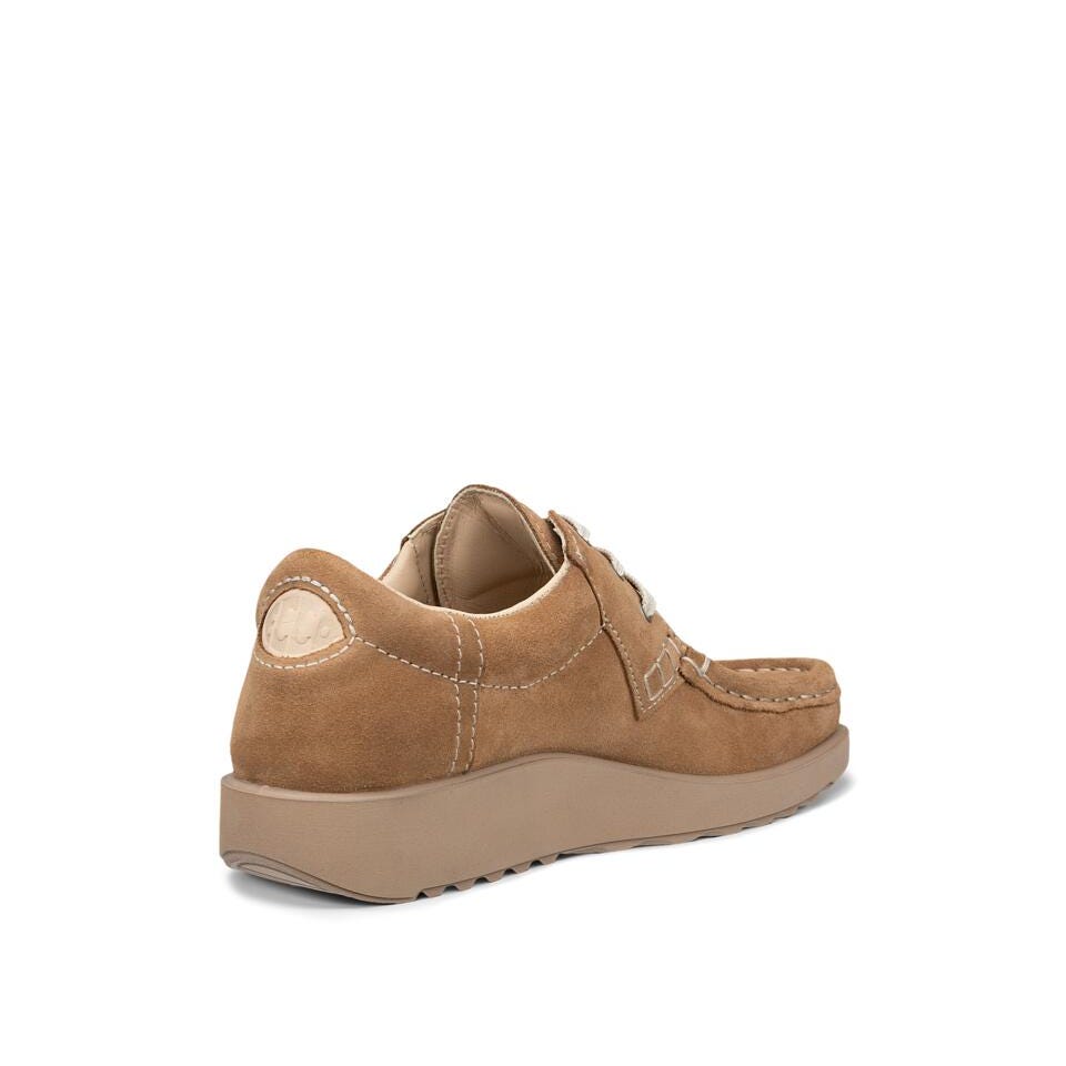 ECCO Joke D, Camel