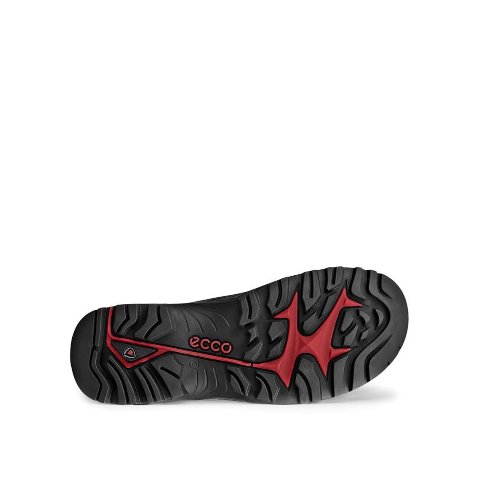 ECCO Offroad BOA® Waterproof, sort