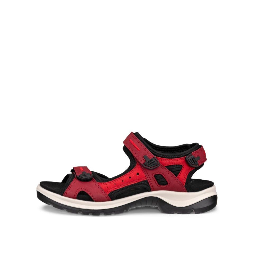 ECCO Offroad D, Brick