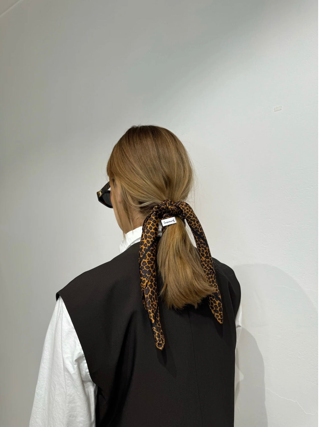 Lescarf Leo, brown 50x50