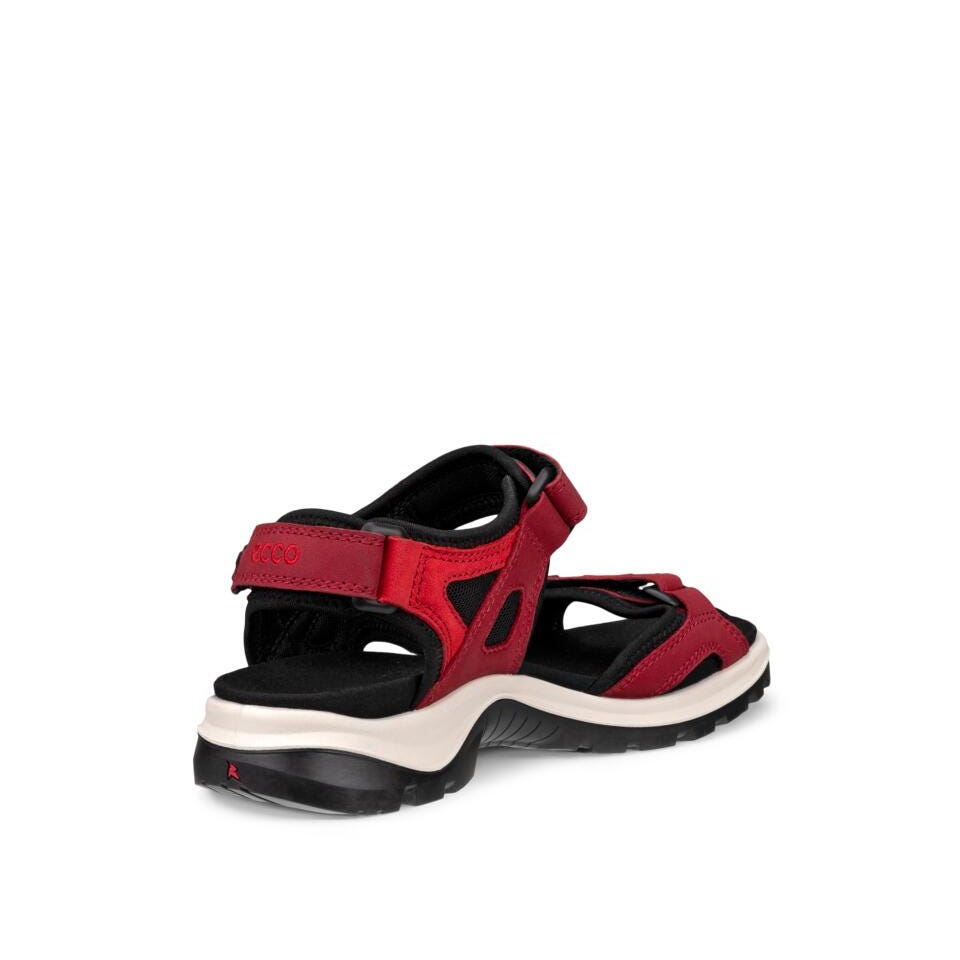ECCO Offroad D, Brick