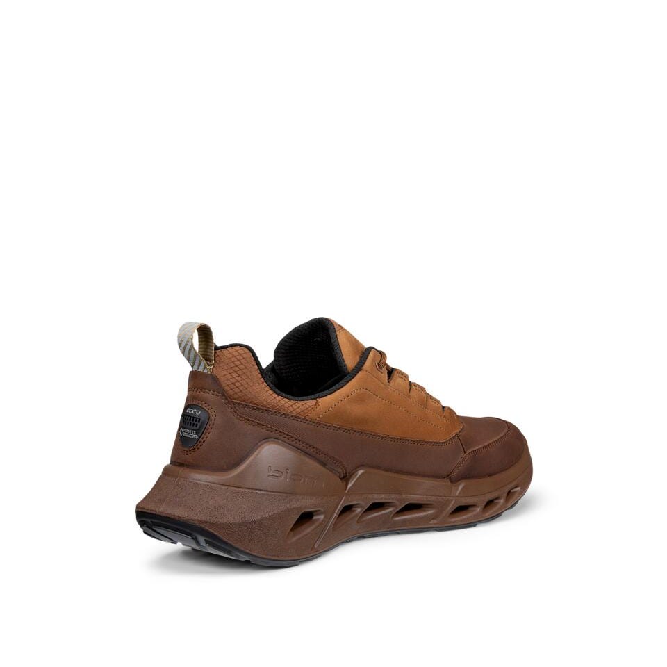 ECCO Biom 720 H GORE-TEX SURROUND®, Cocoa Brown