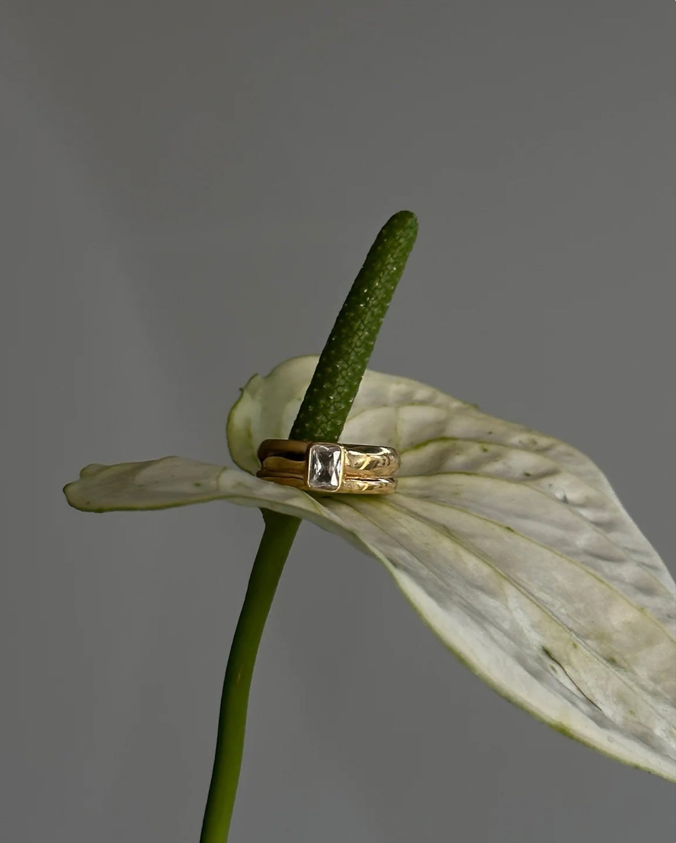 Philippa Studios Ella ring, forgylt gull